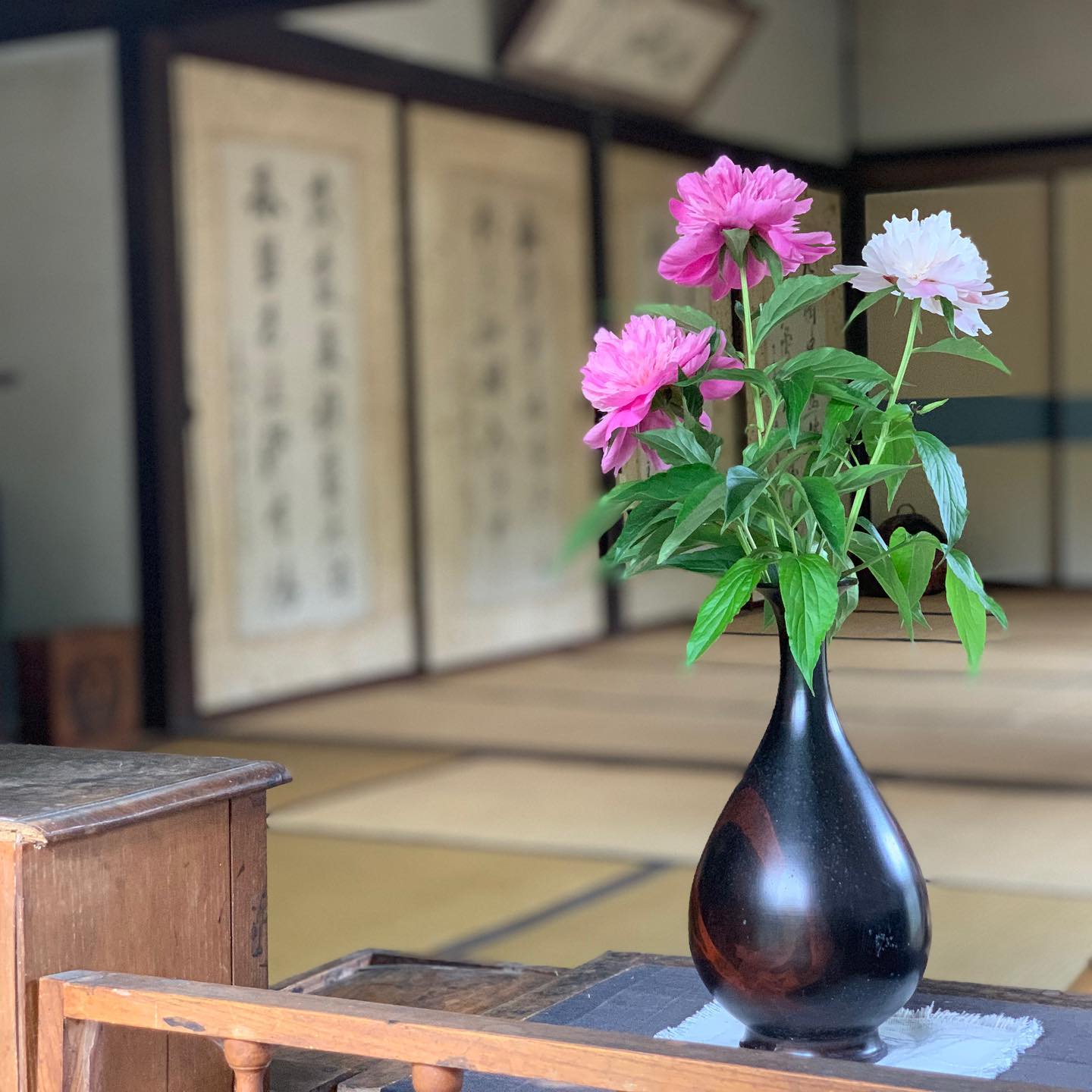 seed.yatabeによるInstagram投稿